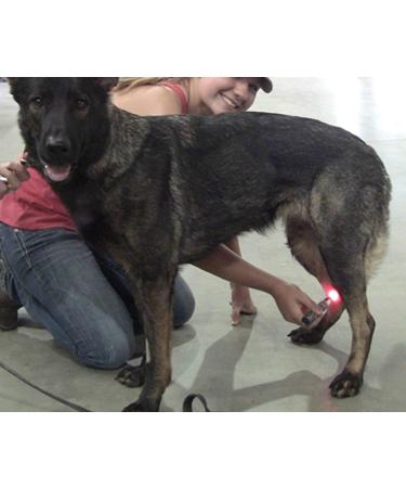 playhair Red Led Light Therapy Device -Cat Dog Horse. Pain Relief Hip Joint Mobility.and Inflammation Relief Advanced Pain Relief - Buy Online on GoSupps.com