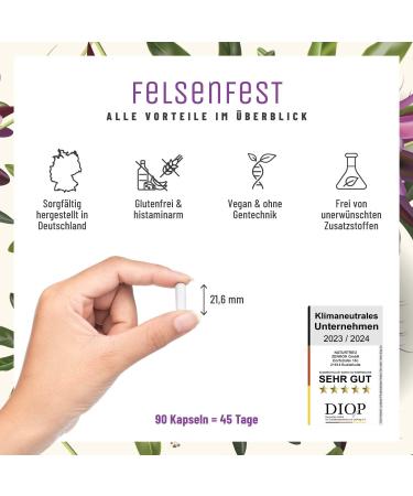 Felsenfest St. John's Wort Capsules - High-Dose Valerian & Passion Flower - Vegan 90 Count with Folic Acid & B12 - Comparison Winner for Stress Relief - Buy Online on GoSupps.com