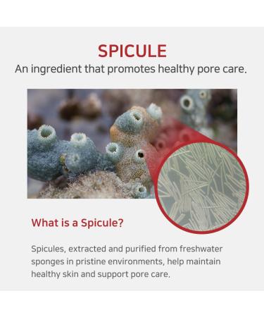 APLB Spicule Niacinamide Shot 260 Cream | SPICULE NIAC SHOT 260 1.86 FL.OZ/Korean Skincare Gentle Exfoliation Pore Care Long lasting hydration Revitalize for gentle and improve skin texture - Buy Online on GoSupps.com