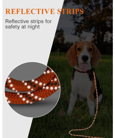 Buy Taglory 10m Dog Leash - Reflective Rope Padded Handle 8mm Orange | Durable & Safe Dog Lead (1 Pack) - Buy Online on GoSupps.com
