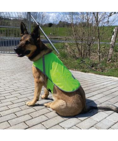 Reflecting Dog Warning Vest | Robust Safety Vest for Dogs | Sizes Available | Neon Green Lining Jacket - Buy Online on GoSupps.com