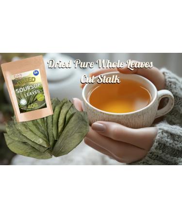 Hida Beauty Premium Leaves Cut Stalk Whole Cold Air Dried Leaves 40g Soursop Graviola Leaves Hoja De Guanabana - Buy Online on GoSupps.com