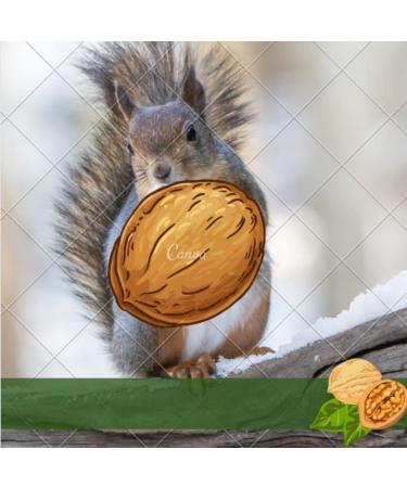 New Harvest 2022: 25kg Raw & Unprocessed Walnuts in Bowl for Squirrels - 100% Vegan & Natural - Buy Online on GoSupps.com
