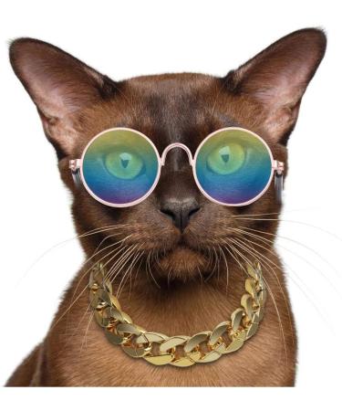 JETTINGBUY Pet Accessories: Cat & Dog Glasses, Necklaces, Photo Props - 6 Piece Set - Buy Online on GoSupps.com