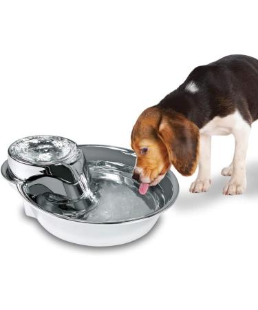 Pioneer Fountain Big Max - 128 oz Stainless Steel | Durable and Stylish - Buy Online on GoSupps.com