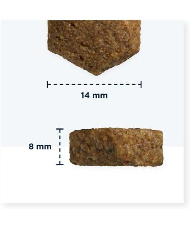 Eukanuba Adult Dog Dry Food For Small and Medium Breeds Salmon & Barley 12kg - Buy Online on GoSupps.com