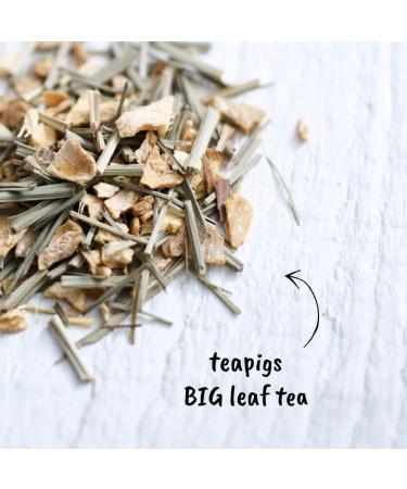 Teapigs Jasmine Pearls Tea Bags Made With Whole Leaves(1 Pack of 50 Tea Bags) & Teapigs Lemon and Ginger Tea Bags Made With Whole Leaves (1 Pack of 50 Tea Bags) + Ginger Tea Bags 50 Count (Pack of 1) - Buy Online on GoSupps.com
