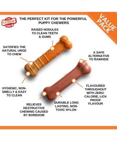 Nylabone Puppy Extreme Tough Chew Toy Bones Twin Pack Beef Stew & Veg and Bacon Flavours Small Brown/orange - Buy Online on GoSupps.com