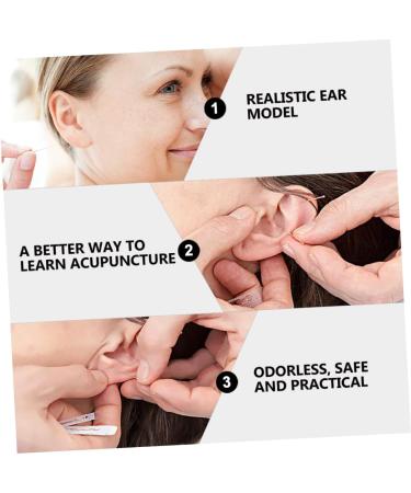 Hemoton Silicone Ear Model Set for Practice and Display | Ear Picking & Simulation Props - Buy Online on GoSupps.com