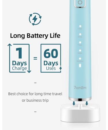 7am2m Sonic Electric Toothbrush with 6 Brush Heads for Adults and Kids Wireless Fast Charge One Charge for 60 Days 5 Modes with 2 Minutes Built in Smart Timer Electric Toothbrushes(Light Blue) No Travel Case Blue - Buy Online on GoSupps.com