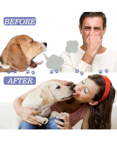 Muslate Tooth Cleaning Spray for Dogs & Cats | Fresh Breath Dental Care Spray for Pets - Buy Online on GoSupps.com