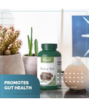 VORST Turkey Tail Mushroom Supplement 1200mg Per Serving 180 Vegan Capsules | Powder Pills | 1 Bottle 180 count (Pack of 1) - Buy Online on GoSupps.com