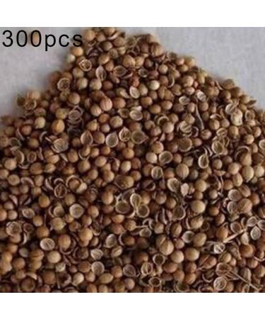 Luojuny Coriander Seeds 300pcs Coriander Seeds Garden Bonsai Nutritious Vegetable Flavor Cooking Plant Coriander Seeds - Buy Online on GoSupps.com