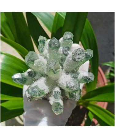 Natural Crystal Rough Stone Crafts Green Ghost Phantom Quartz Crystal Cluster Specimen (Size : 300-400g) - Buy Online on GoSupps.com