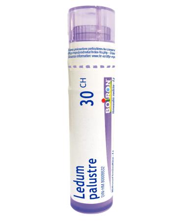 Ledum Palustre 30ch Boiron Homeopathic Medicine