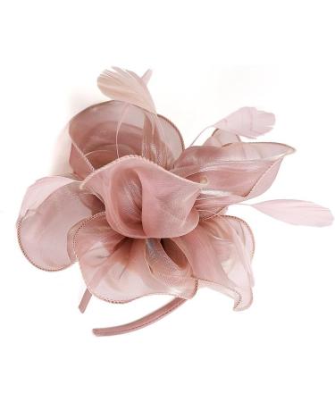 FRCOLOR Fascinator Feather Headband / Clip Party Wedding Royal Ascot Races Hair Accessories Headdress (Nude Pink) - Buy Online on GoSupps.com
