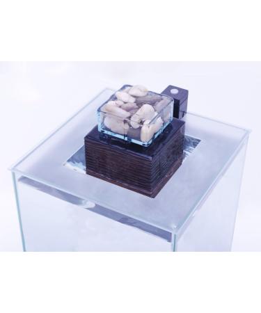 Fluval Chi Cover - Buy Online on GoSupps.com