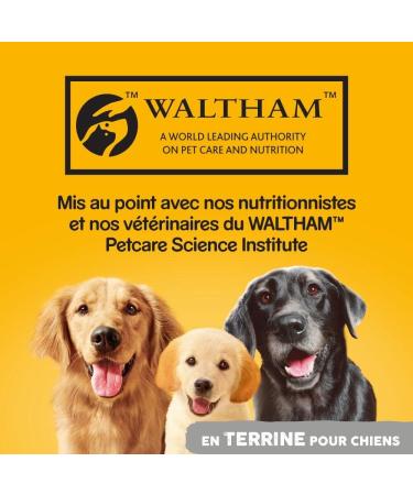 Pedigree Dog Meal - Terrine Boxes for Adult Dogs with Beef and Carrots - 12 x 800g - Buy Online on GoSupps.com