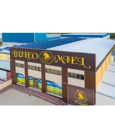 BULEO Forest honey purely from bees 100 natural Traditional product from our own harvest Sweet taste with clear salty notes Delicious honey amber to dark amber 500g - Buy Online on GoSupps.com