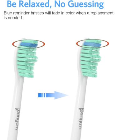 Senyum Replacement Toothbrush Heads for Philips Sonicare - E-Series Compatible - 6 Pack (Pack of 1) - Buy Online on GoSupps.com