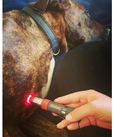 playhair Red Led Light Therapy Device -Cat Dog Horse. Pain Relief Hip Joint Mobility.and Inflammation Relief Advanced Pain Relief - Buy Online on GoSupps.com