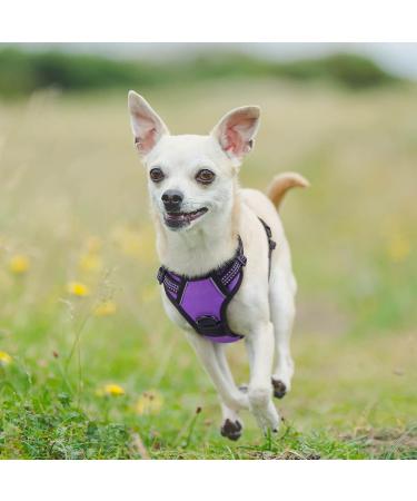 Rabbitgoo Dog Harness for Small Dogs - No Pull Adjustable Control Vest - Breathable Reflective Stripes - Safe Guide - Purple XS - 1 Pack - Buy Online on GoSupps.com