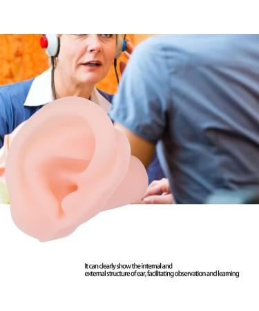 Professional Soft Silicone Fake Ear Model - Multifunctional Left Human Ear Display Tool - Buy Online on GoSupps.com
