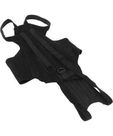Back Bracer for IVDD in Dogs Dog Back Brace for Dogs Arthritis Spinal Surgical Recovery Herniated Disc Slipped Disc Rehabilitation Adjustable Back Support Back Protector (L) - Buy Online on GoSupps.com