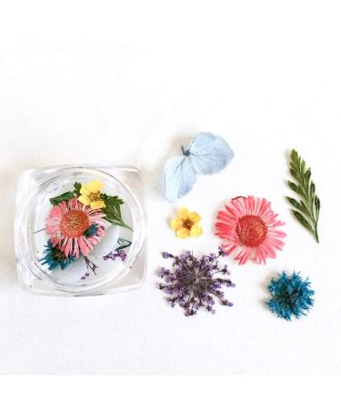 Dry Flower Nail Art Real Flowers for Nails 3D Nails Stickers with Nature Dry Flowers in Mix and Match - Buy Online on GoSupps.com