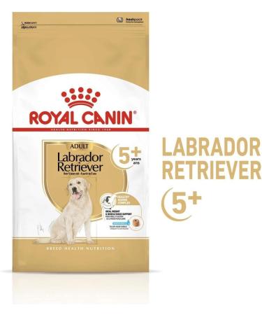ROYAL CANIN Labrador Retriever Adult 5+ 12kg - Buy Online on GoSupps.com
