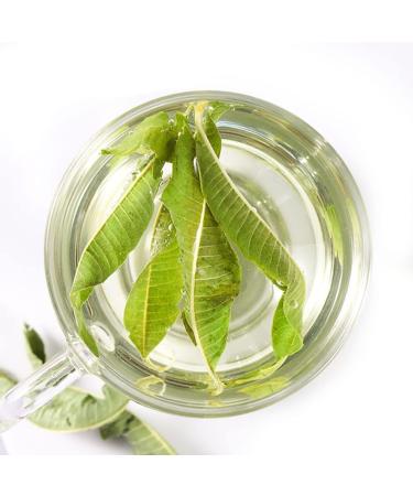 100% Lemon Verbena 10G/0.35oz Feuilles fra ches Non - OGM Herbes Naturelles Fleurs s ch es Pures hautement aromatiques adapt es la Viande aux l gumes aux soupes - Buy Online on GoSupps.com