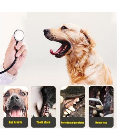 Teeth Stain Plaque Remover Electric Tooth Polisher Tartar Remover for People and Pet Dog IPX6 Waterproof Teeth Cleaning Tools with 4 Polishing Heads - Buy Online on GoSupps.com