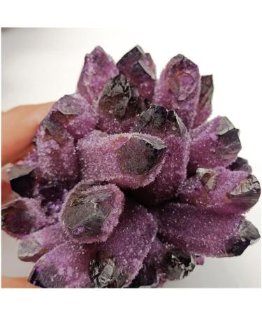 Natural Crystal 1 Piece of Natural Purple Ghost Quartz Crystal Cluster Rough Crystal Specimen for Home and Office Decoration Power Stone Crystal HOMEZHOU (Size : 600-750g) - Buy Online on GoSupps.com