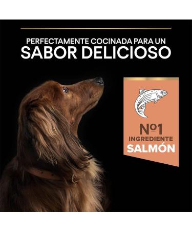 Purina Pro Plan Small and Mini Adult Sensitive Skin Optiderma 3kg - Buy Online on GoSupps.com