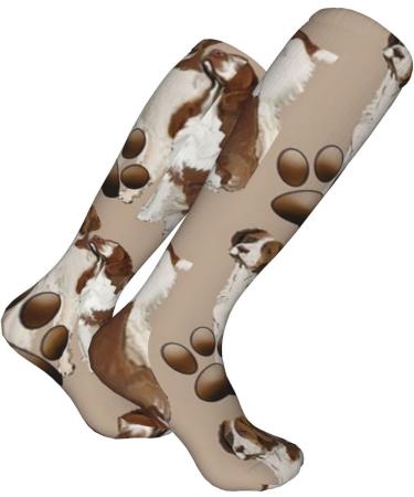 Buy Brittany Spaniel Liver-Colored Compression Socks | 15-20 mmHg Support for Running & Cycling - Unisex - Buy Online on GoSupps.com