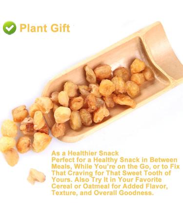 Plantgift Natural Dried Longan 100g - Premium Quality 100% Fruit Meat No Sugar Perfect for Teas Desserts & Cooking - Buy Online on GoSupps.com