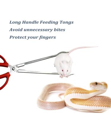 EvaGO 15 inch Black Aquarium Tweezers Stainless Steel Tweezer with Carbonation Protection Coating Against Rust Long Reptiles Feeding Tongs for Aquatic Plants Lizards Spider Snakes (15" Curved) - Buy Online on GoSupps.com