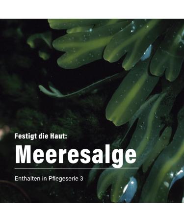  Alsiroyal Skin gel for sea algae and olive qualane for the day - Buy Online on GoSupps.com