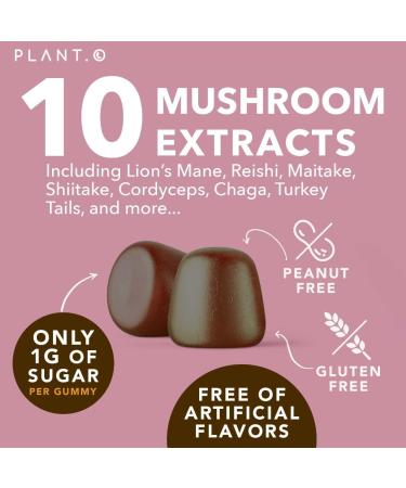 Premium Mushroom Gummies - 10 Mushroom Complex Extract for Brain & Immune Support - Lion's Mane, Reishi, Shiitake - Nootropic Formula for Mood & Relaxation - 60 Chews - Buy Online on GoSupps.com