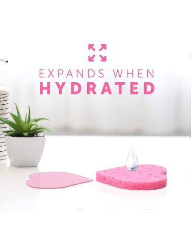 Facial Sponges for Deep Cleansing and Makeup Removal - Rejuvv by Fushay (50 Count) - Buy Online on GoSupps.com