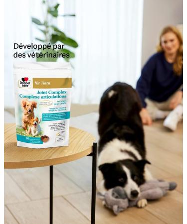 Doppelherz Joint Complex for Dogs Joint Support with Omega-3 Collagen Mussel Powder Boswellia Serrata & Vitamin E 30 Tasty Treats - Buy Online on GoSupps.com