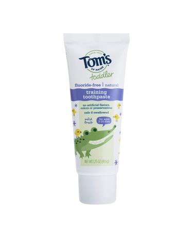 Tom's of Maine Toddlers Fluoride-Free Natural Toothpaste in Mild Fruit Gel  1.75 Ounce (Pack of 6) - Buy Online on GoSupps.com