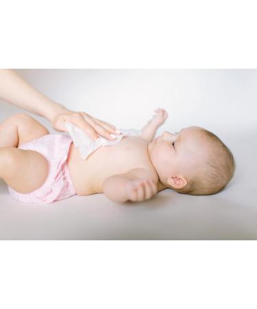  New 50 Count Premium Guest Towels. Comes with an Attractive Dispenser Tray. Endless uses. Use it - Rinse it - Dry it - Reuse it. for Bath Kitchen Baby Wipe pet Wipe Makeup Remover. - Buy Online on GoSupps.com