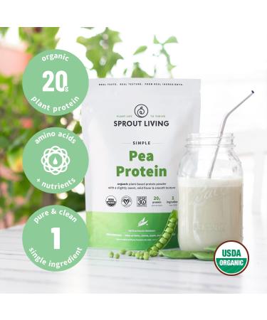 Sprout Living Organic Pea Protein Unflavored - 1 lb | Plant-Based Protein Powder - Buy Online on GoSupps.com