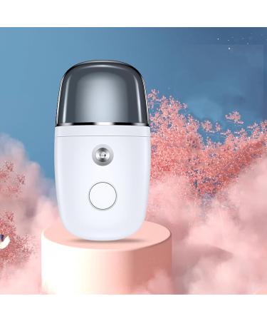 Nano Humidificateur Pulv risation Hydratant Instrument De Poche Grand Pulv risateur De Brouillard Mini Humidificateur Portable - Buy Online on GoSupps.com