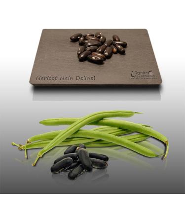 75 g Seeds to sow Le Grenier dAbondance Delinel bean Phaseolus vulgaris - Buy Online on GoSupps.com