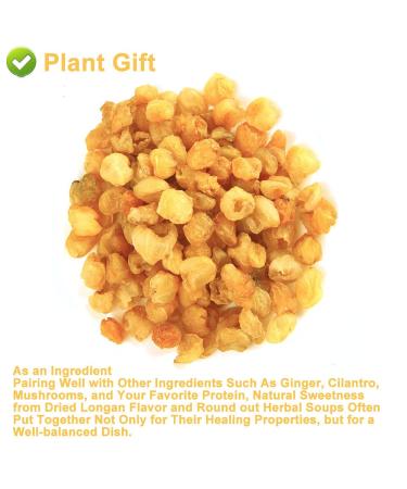 Plantgift Natural Dried Longan 100g - Premium Quality 100% Fruit Meat No Sugar Perfect for Teas Desserts & Cooking - Buy Online on GoSupps.com
