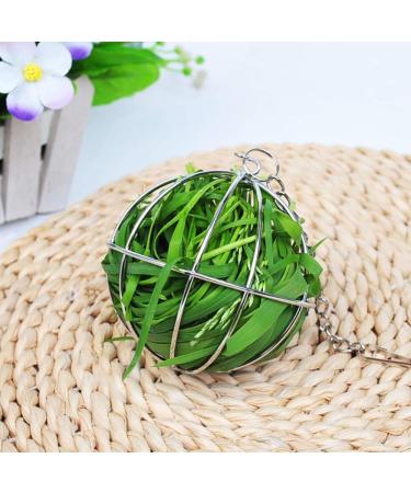 2 Pieces Rabbit Hay Feeder Rabbit Hay Ball Stainless Rabbit Grass Ball Pet Hay Rack Bowl Accessories for Guinea Pig Small Animal Pet - Buy Online on GoSupps.com