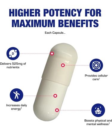 High Absorption Vitamin B3 Niacin Flush Free - Clinical Formula Flush Free Niacin Supplement from Inositol Hexanicotinate for Heart Skin & Nerve Support - Vegan Non-GMO Made in The USA - 100 Servings - Buy Online on GoSupps.com