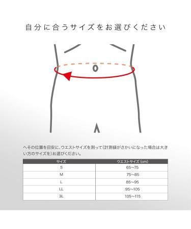 Buy ZAMST ZW-3 Waist Supporter for Sports & Daily Life | L Size | International Shipping - Buy Online on GoSupps.com